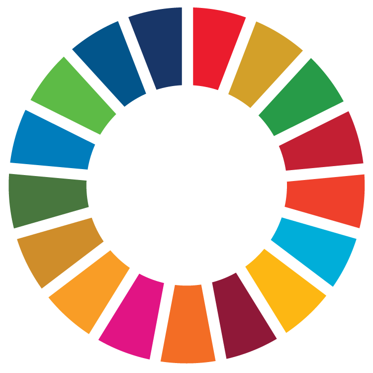 United Nations Sustainable Development Goals colour wheel